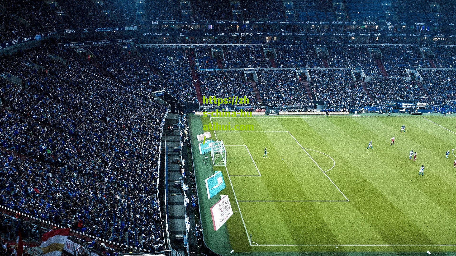 国米官方宣布帕瓦尔改穿5号球衣,传承与挑战的新篇章